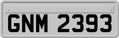 GNM2393