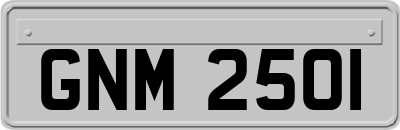 GNM2501