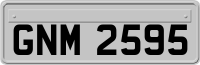 GNM2595