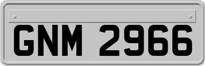 GNM2966