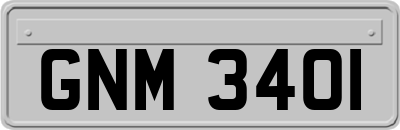 GNM3401