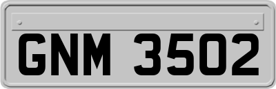 GNM3502