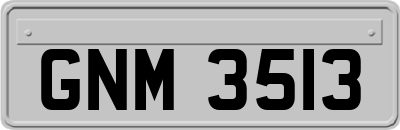 GNM3513