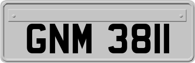 GNM3811