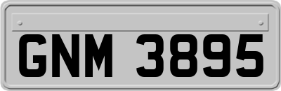 GNM3895