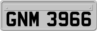GNM3966