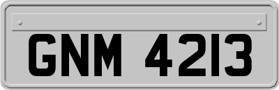 GNM4213