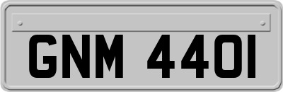 GNM4401
