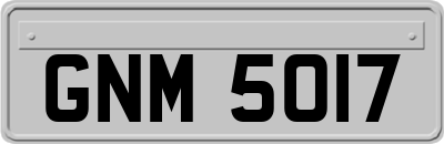 GNM5017