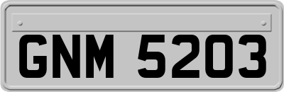 GNM5203