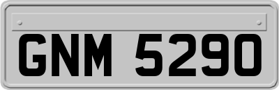 GNM5290