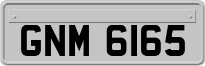 GNM6165