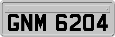 GNM6204