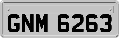 GNM6263