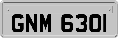 GNM6301