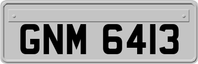GNM6413
