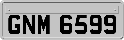 GNM6599