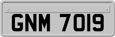 GNM7019