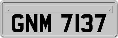 GNM7137