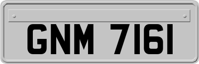 GNM7161
