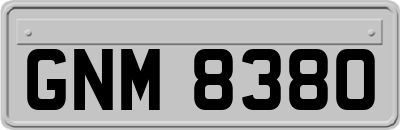 GNM8380