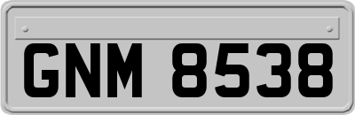 GNM8538