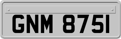 GNM8751