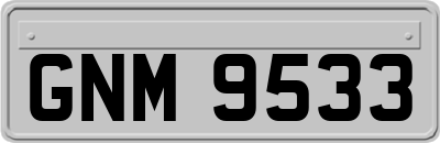 GNM9533