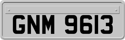 GNM9613