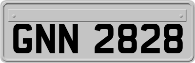 GNN2828