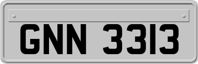 GNN3313