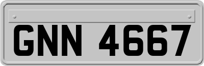 GNN4667