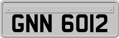 GNN6012