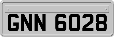 GNN6028