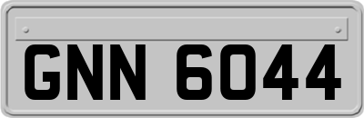 GNN6044