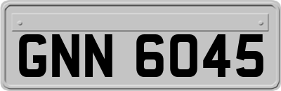 GNN6045