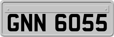 GNN6055