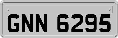 GNN6295