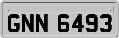 GNN6493