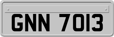 GNN7013