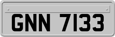 GNN7133