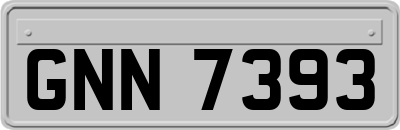 GNN7393