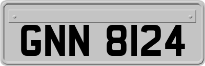 GNN8124