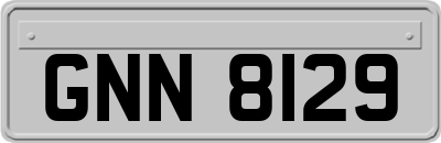 GNN8129