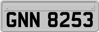 GNN8253