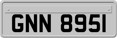 GNN8951