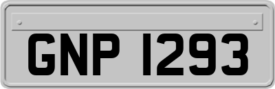 GNP1293