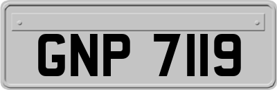 GNP7119