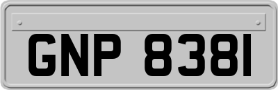 GNP8381