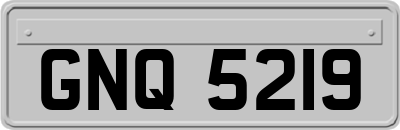 GNQ5219